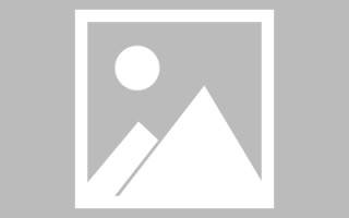 白银网页设计英文默认字体（网页设置英文转换中文）